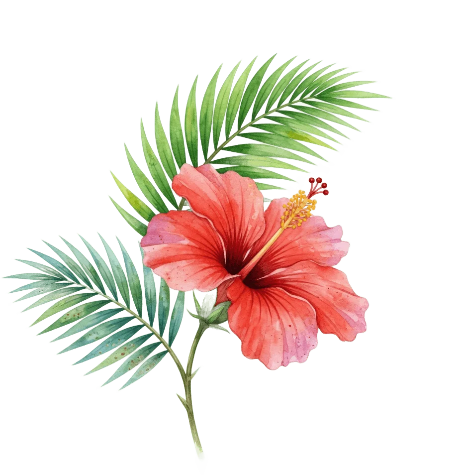 Tropical hibiscus