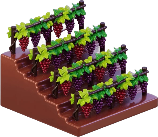 Rangs de vignes