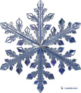 氷晶の雪の結晶