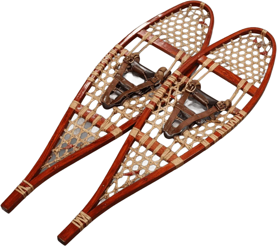 Raquettes en bois