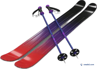 Skis et bâtons alpins