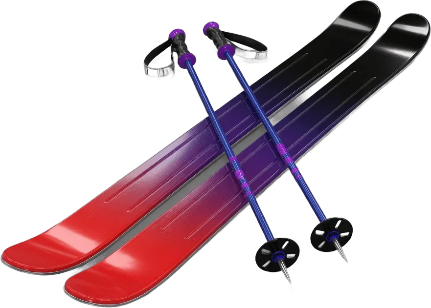 Skis et bâtons alpins