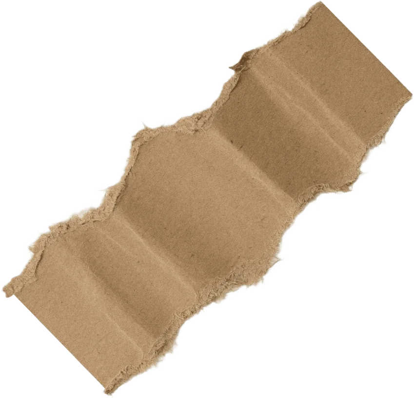 Torn kraft paper strip