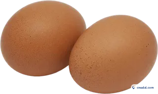 Fresh Brown Eggs