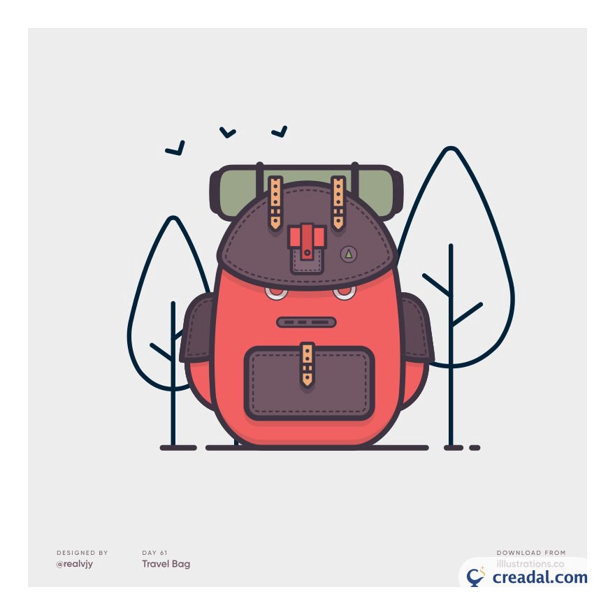 Travel Bag