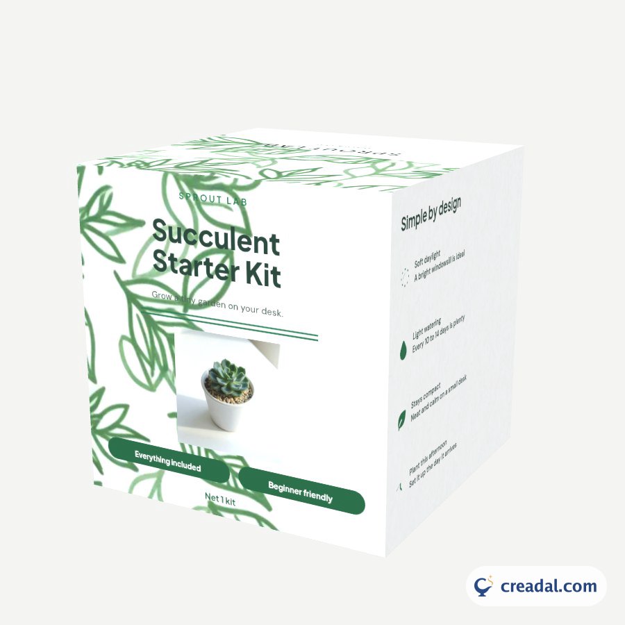 Succulent Starter Kit
