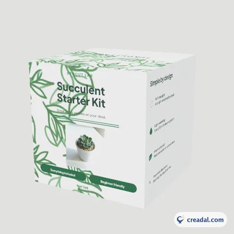 Succulent Starter Kit