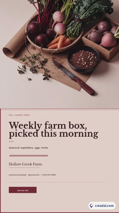 Farm-CSA-Kiste: Instagram-Story