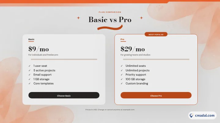 Basic ve Pro Karşılaştırması